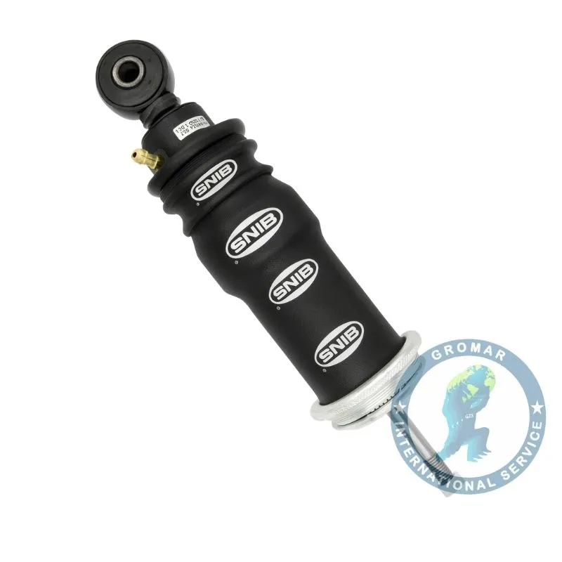 Amortiguador Con Bolsa Posterior De Cabina Pgrt