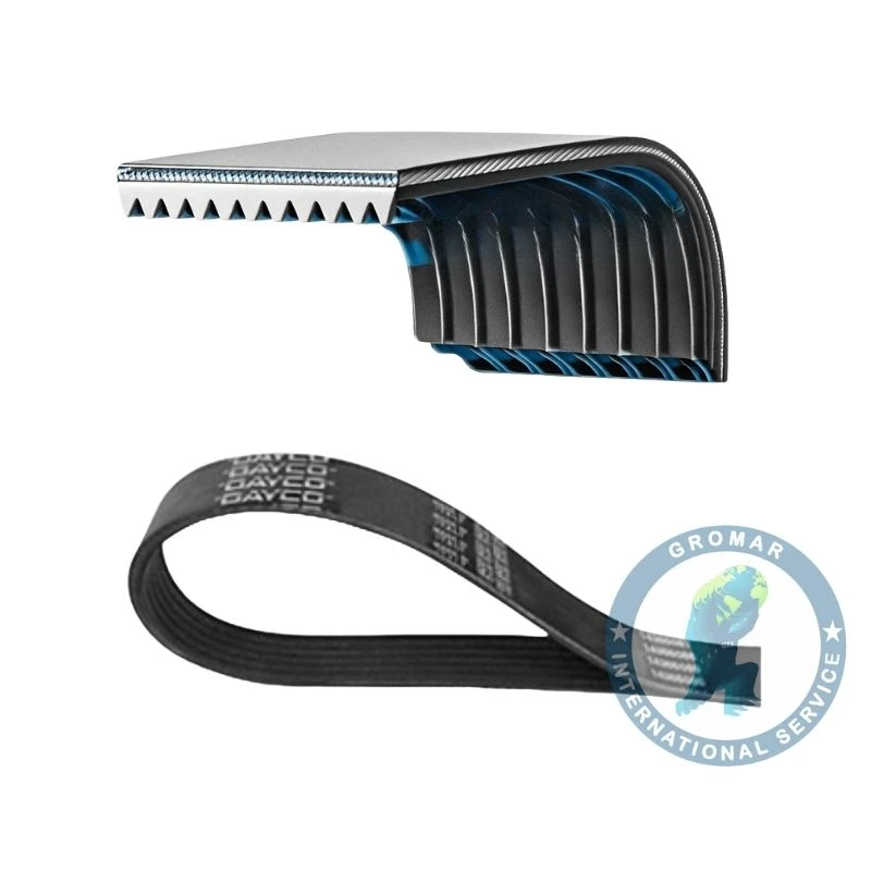 Correa Acanalada Camion Scania