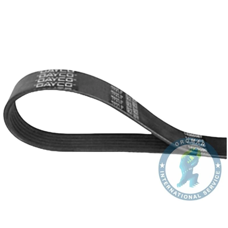 Correa Micro V Bomba de  Agua