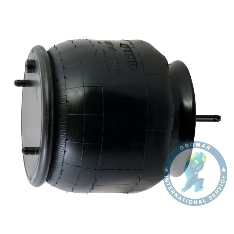 Bolsa Aire Suspension Posterior