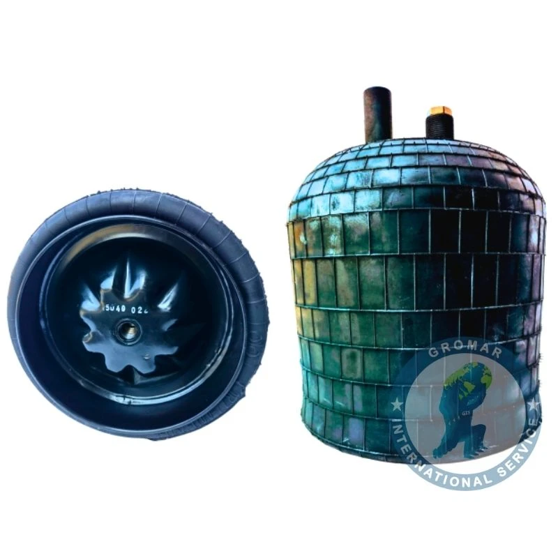 Bolsa Aire Suspensión Posterior Actros