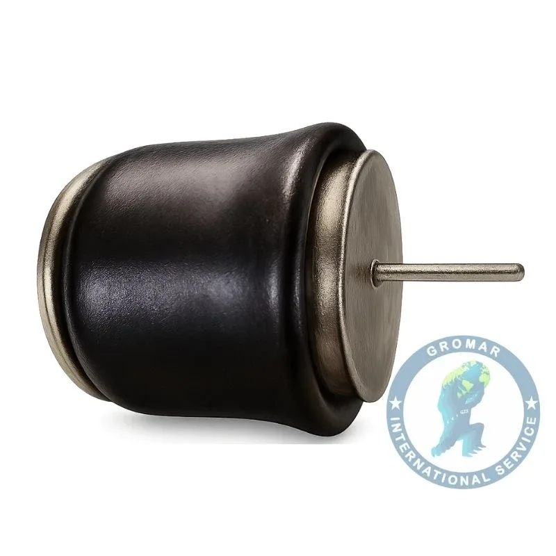 Bolsa suspensión posterior cpl M14 Firestone 1440304 para Scania
