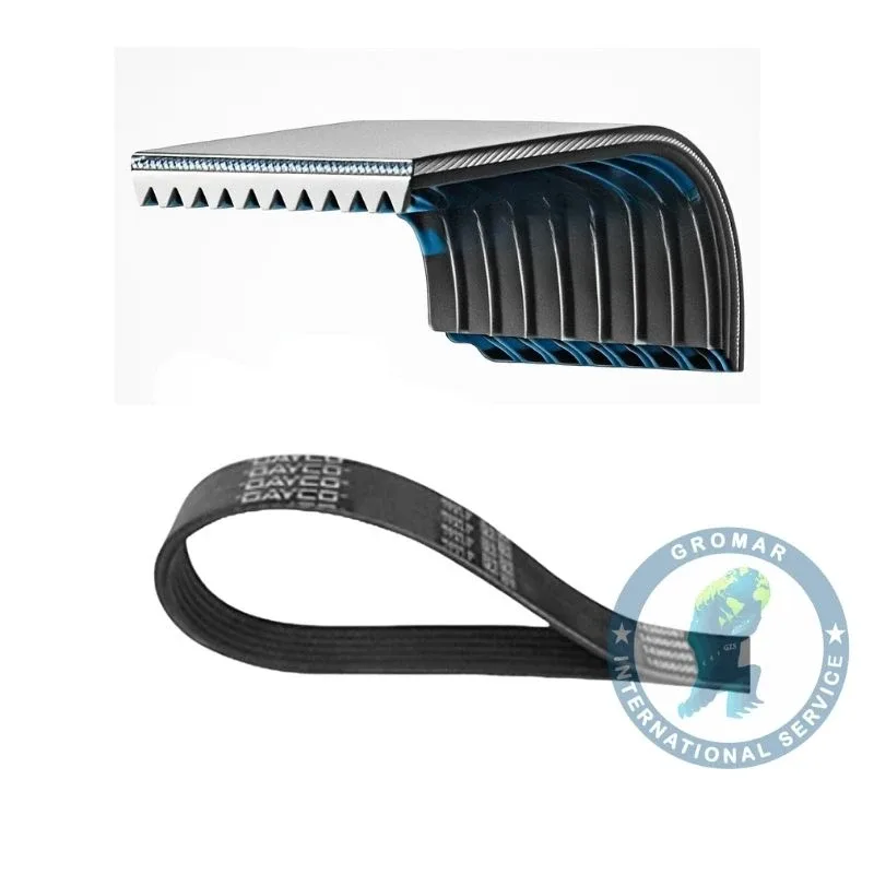 Correa Bomba Agua Alternador K310 para camiones -DAYCO 1800532