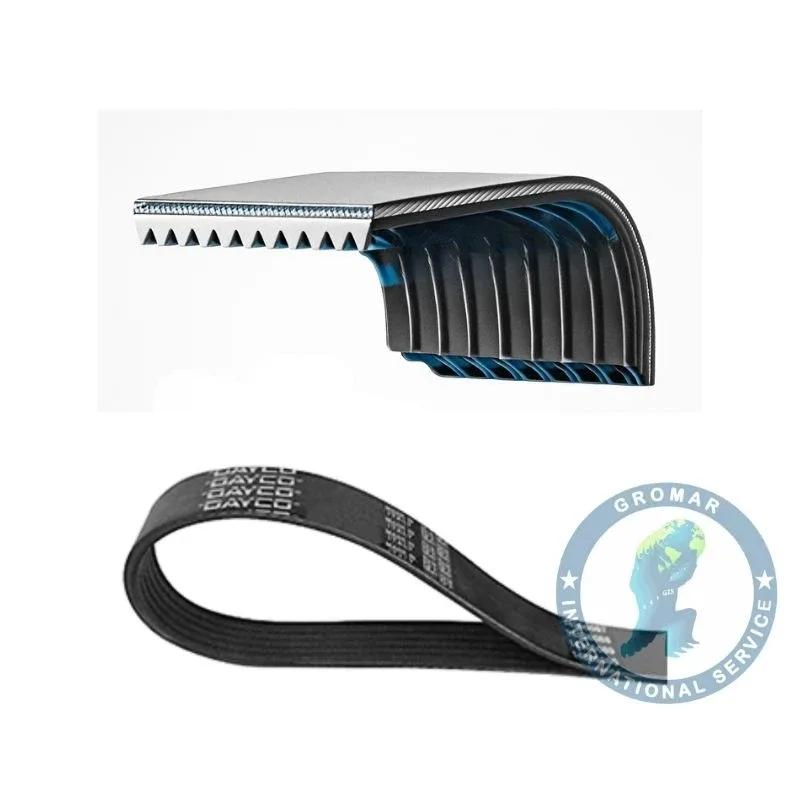 Correa Scania para camiones Dayco 2447572