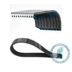 Correa Bomba Agua 2 Alternador Sc Interior DAYCO 1800540