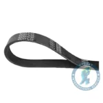 Correa De Distribución DAYCO 1920232