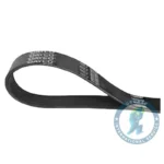 Correa Micro V DAYCO 1763403