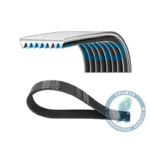 Correa Micro V K380 DAYCO 1800525